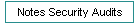 Notes Security Audits